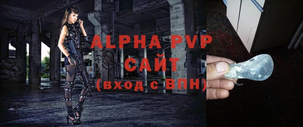СК Елизово