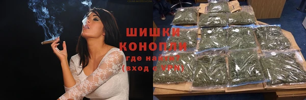 СК Елизово