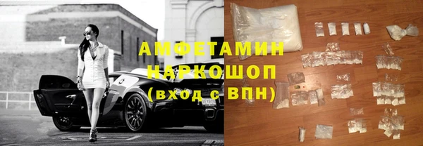 гашик Ельня