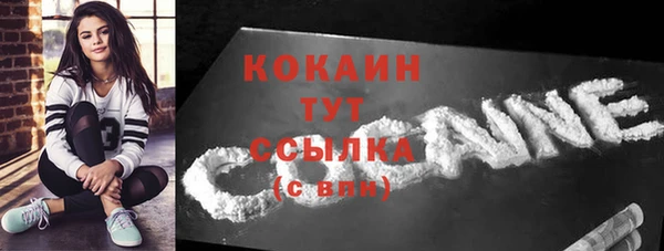 СК Елизово