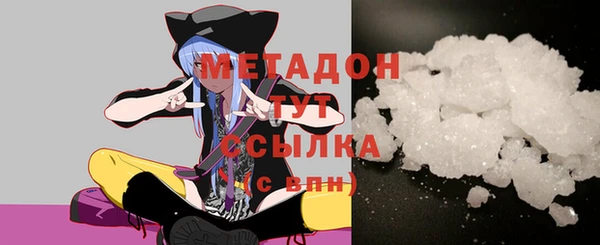 гашик Ельня