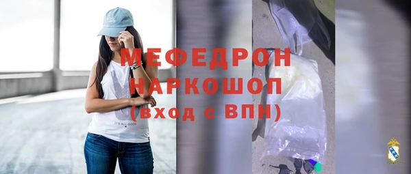 гашик Ельня