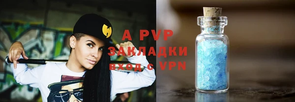 гашик Ельня