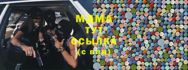 гашик Ельня