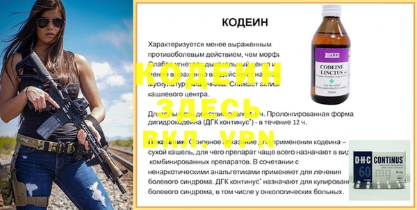 гашик Ельня
