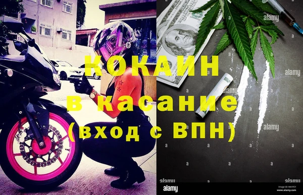 СК Елизово