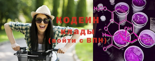 гашик Ельня