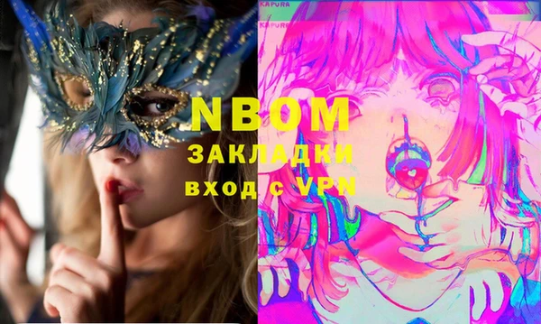 гашик Ельня