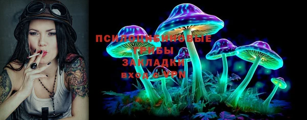 дживик Анжеро-Судженск