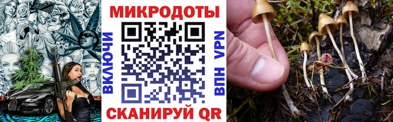 Псилоцибиновые грибы GOLDEN TEACHER  Зеленоградск 